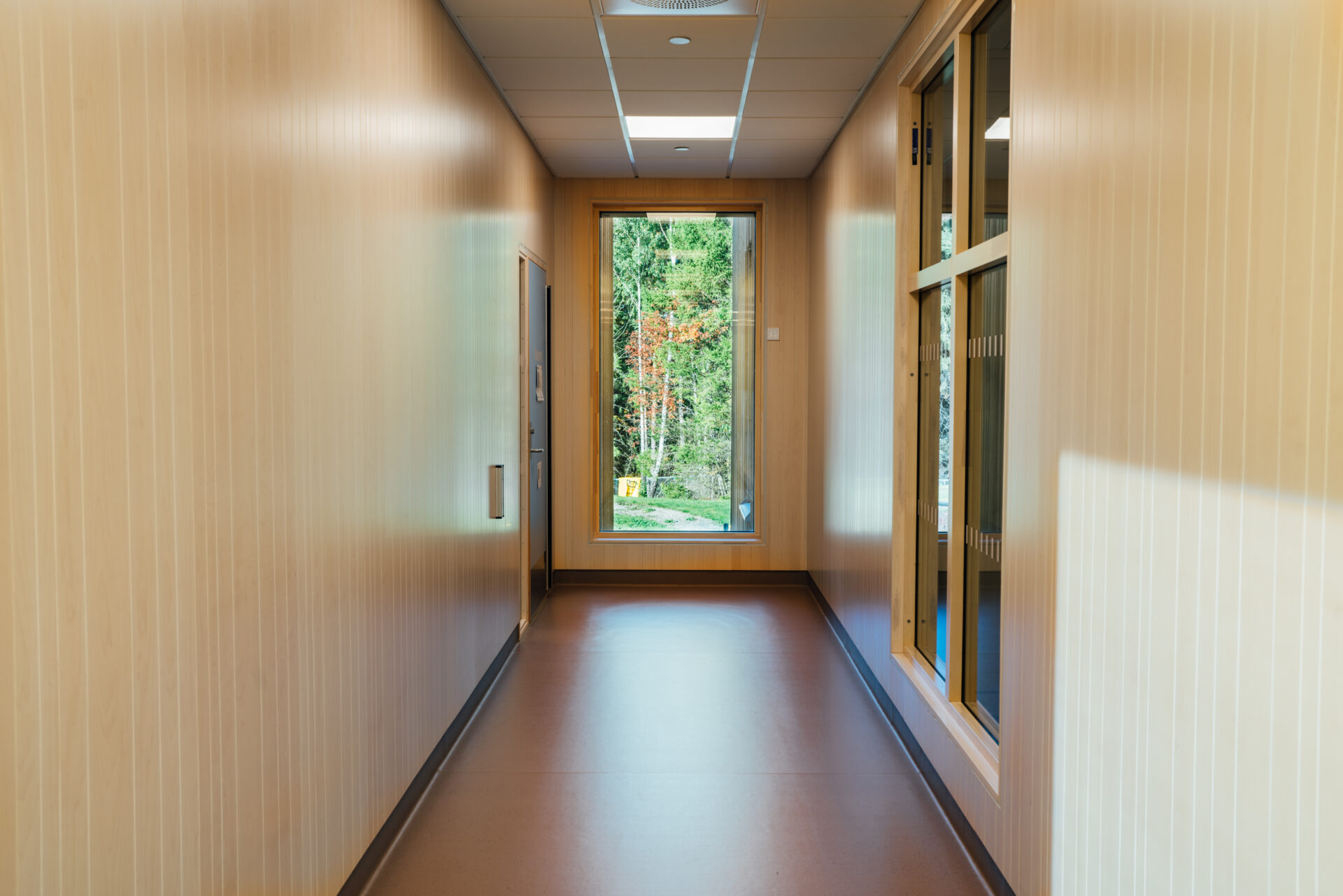 Interiörfanér och spaltpanel till Nordby förskola i Ås – Interiörfanér av björk med… Bild 8 av 24 (NordbyBarnehage 16)